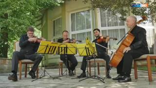 Quatuor Danel  Allegretto du 8e quatuor à cordes de Shostakovitch [upl. by Osterhus]