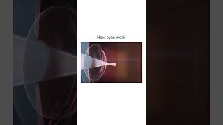 Working of Eye  How the eyes works  How the image is formed eyes retina biology education [upl. by Annahsit]