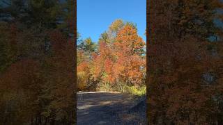 My New Hampshire property in the fall time [upl. by Serafine823]