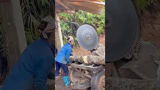 Eucalyptus wood circular saw cutting process Good tools and machinery can increase work efficiency [upl. by Bratton142]