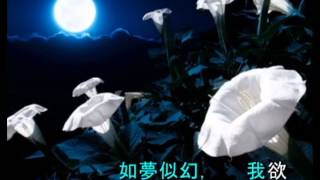 夜鶯小夜曲 quotSerenataquot Toselli André Rieu 李昌源作詞唱 音符 colorful movements [upl. by Esital]