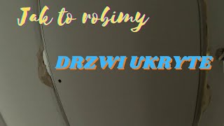 DRZWI UKRYTE  CO TO ZA DRZWI [upl. by Celestyn]