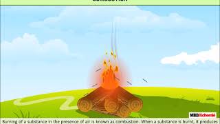 Combustion and Flame  Combustion  Class 8 [upl. by Aehsrop702]