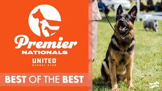 UKC Premier Nationals Best of the Best 2021 [upl. by Raab]