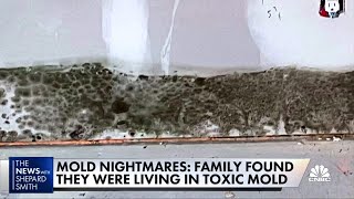 Toxic mold devastates family causes myriad health problems [upl. by Elinad]