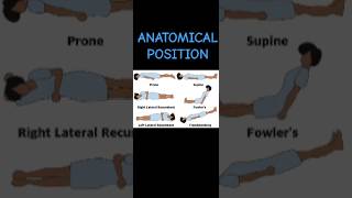 ANATOMICAL POSITION Nursingeducationland nursingmedical medicalnursing anatomy medicospulse [upl. by Pellet]