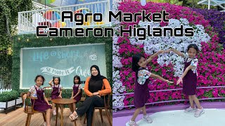 AgroMarket Cameron highlands best  cameronhighlands [upl. by Airetnuhs]