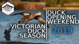 Hunting Ducks in Australia  Victorian Duck Season Opening [upl. by Wheeler]