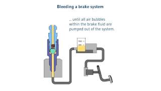 Bleeding brakes very simple  How to bleed brakes of cars with the stahlbus bleeder valves [upl. by Fuchs406]