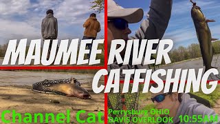 Maumee River  CATFISHING [upl. by Weissberg856]