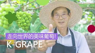 韓國葡萄的新標準！KGRAPE ✨🍇👍 [upl. by Vassell]