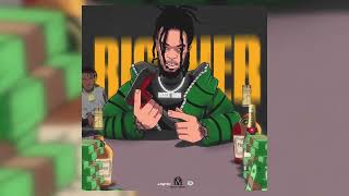 Roze Don  Richer Ft Aalvero Official Visualizer [upl. by Stanislaw]