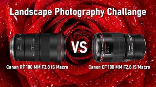 Canon RF 100MM Macro vs Canon EF 100MM Macro  Which one is the better investment [upl. by Bradwell]