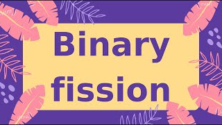 What is Binary fission in Hindi amp Urdu बाइनरी विखंडन क्या है [upl. by Madeleine548]