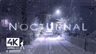 3 Hours of Pure Heavy Snowfall Night Walks in Finland  Slow TV 4K [upl. by Drhacir]