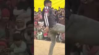 dangle kushtidangal shortvideo funny dangel wrestlingcompetition wrestling dangal [upl. by Florencia]