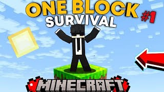 WELCOME TO MY NEW ONE BLOCK MINECRAFT WORLD MINECRAFT ONE BLOCK PART  1 [upl. by Alyose]