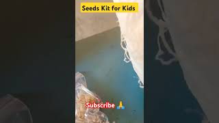 Seeds Kit for kids ctgkadapa gardeningtips gardening shorts [upl. by Canon48]