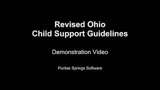 Revised Ohio Child Support Guidelines Version 11 Demonstration Video  Part I [upl. by Ayortal]