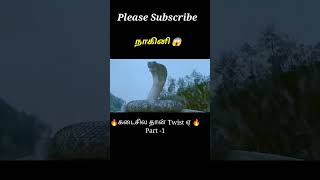 Snake revenge PT1🐍amil voice over shorts ytshorts trendingshorts tamilvoiceover mysterydiv [upl. by Milurd958]