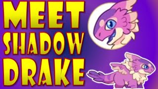 INSANE Meet the Shadow Drake Prodigy Maths NEWEST Pet [upl. by Katinka]