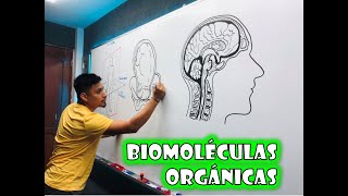 ✅BIOQUIMICA 02  BIOMOLÉCULAS ORGÁNICAS [upl. by Yim]