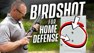 Is Using Birdshot For Home Defense Effective Shotgun For Home Defense [upl. by Akima]