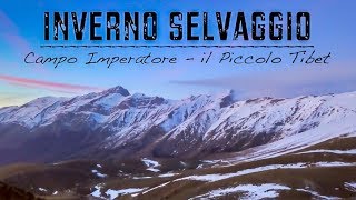 Gran Sasso Inverno Selvaggio a Campo Imperatore  il Piccolo Tibet [upl. by Sirraj]