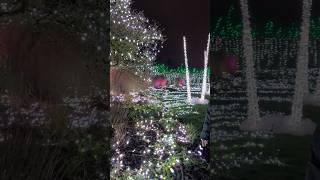 벤두센 빛 축제 VanDusen Festival of Lights 벤두센 식물원 VanDusen Botanical Garden Vancouver 캐나다 231126 [upl. by Ahsikad]