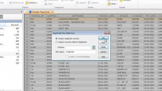 CaseWare IDEA Tutorial Duplicate Key Detection [upl. by Aztirak]