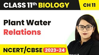 Plant Water Relations  Transport in Plants  Class 11 Biology [upl. by Esinned183]