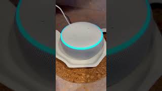 Amazons Alexa’s questions of the day 09262024 alexa viralvideo viralshorts dogs pets amazon [upl. by Yentruoc19]