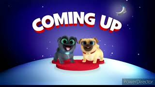 Disney Junior Asia Nighttime  Puppy Dog Pals Coming Up Bumper [upl. by Nyrret683]