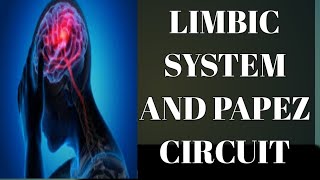 Anatomy of Limbic System and What is PAPEZ circuit [upl. by Ahseia]