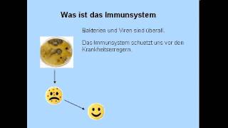 DAS IMMUNSYSTEM  GRUNDLAGEN  Biologie  Biologie des Menschen Mittelstufe [upl. by Oicram200]