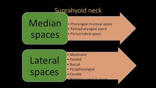 TMT Neck Spaces Overview by Dr Jyoti Kumar [upl. by Jorgan]