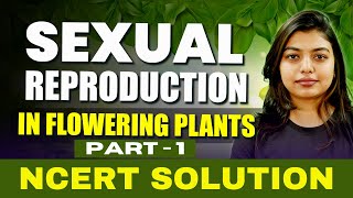 Sexual Reproduction In Flowering Plants  Class 12 Biology  NCERT Solution [upl. by Namreg]