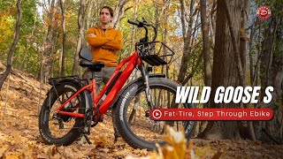 Wildgoose S  FatTire Ebike [upl. by Kevyn95]