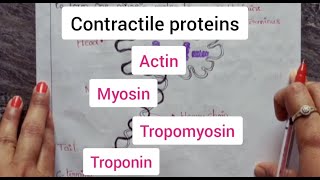 Contractile proteins  actin  myosin  tropomyosin  Troponin  Bsc  PUC  Life Sciences [upl. by Richman]