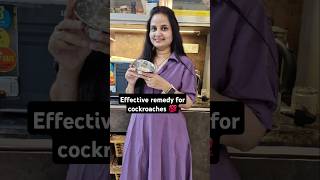 ఈ దెబ్బకి cockroaches అస్సలు ఉండవు Remedy for cockroaches shorts ytshorts youtubeshorts tips [upl. by Annauqahs]