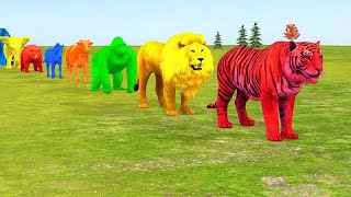 Long Slide Game With Elephant Gorilla Buffalo Hippopotamus Tiger  3d Animal Game  Funny 3d Animals [upl. by Zertnom]