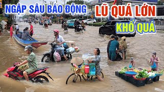 NƯỚC LŨ QUÁ MẠNH ĐỔ VỀ NGẬP LỤT CỰC SÂU  BÀ CON CHỢ BÌNH THỦY KHỔ SỞ MƯU SINH TRONG NƯỚC [upl. by Misti]