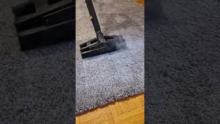 Teppichreinigung Carpet cleaning furniturecleaning carpetcleaning teppiche [upl. by Arriat]