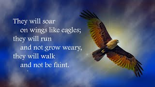 Soar on wings like eagles Isaiah 402831 [upl. by Alodi]