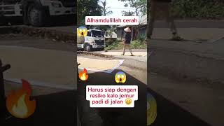 Tanggung resiko pak tani funnyvideo jemurpadi [upl. by Reinar]