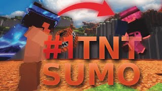 The BEST TNT Sumo Player [upl. by Karsten]