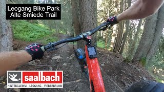 Leogang Bike Park Alte Schmiede Trail [upl. by Odlo347]