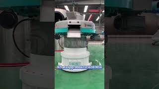 Biomass vertical ring die pellet machine paddy straw pellet machine production line [upl. by Esenwahs]