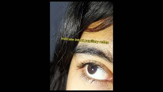 Examination of pupillary light reflex 2nd year MBBS practical Physiology [upl. by Oluas]