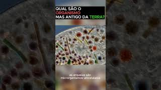 QUAL SÃO O ORGANISMO MAS ANTIGO DA TERRA [upl. by Atteuqcaj]